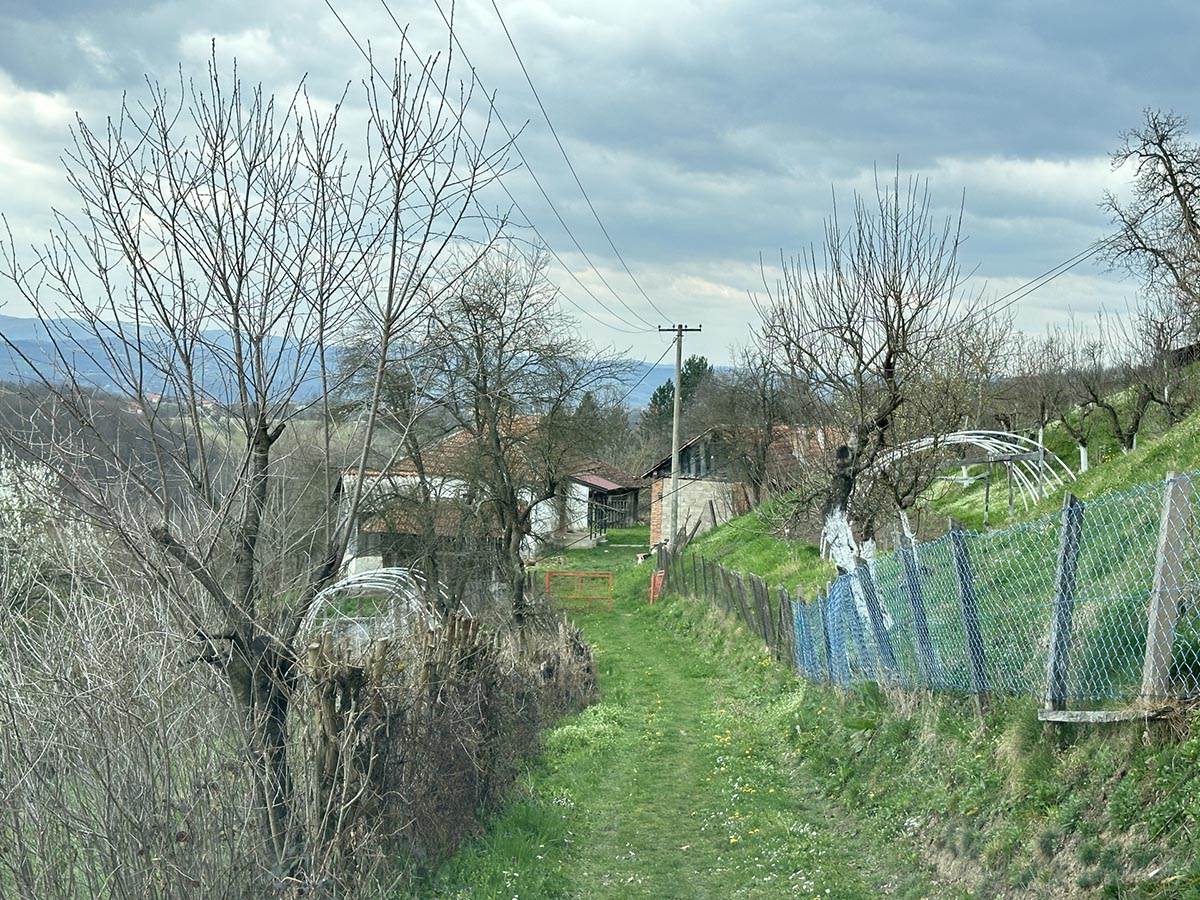 Žena ubila muža (7).jpg