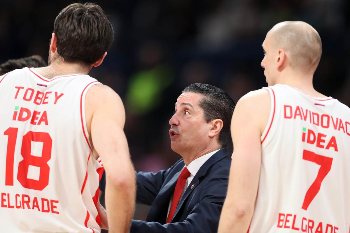 crvena zvezda makabi