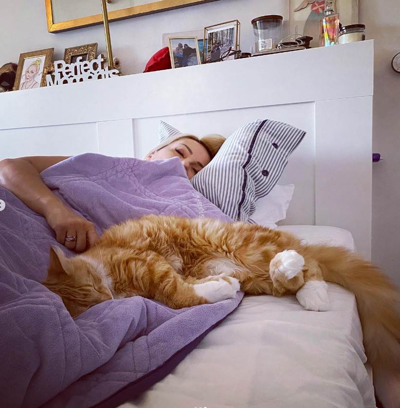 goca tržan stan (2).png