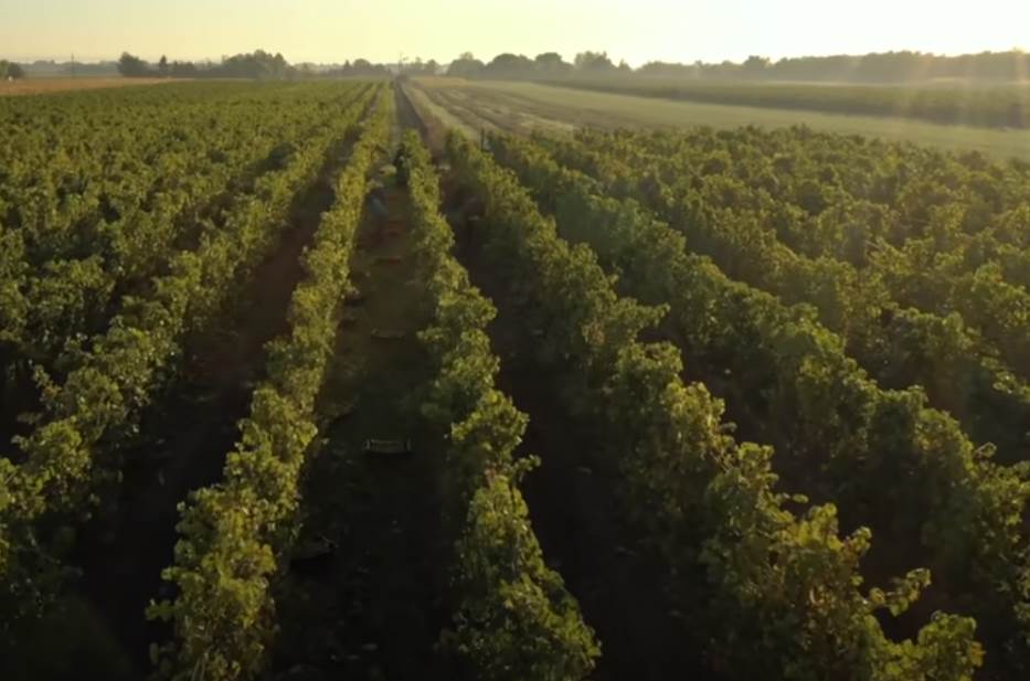 zvonko bogdan imanje (4).png