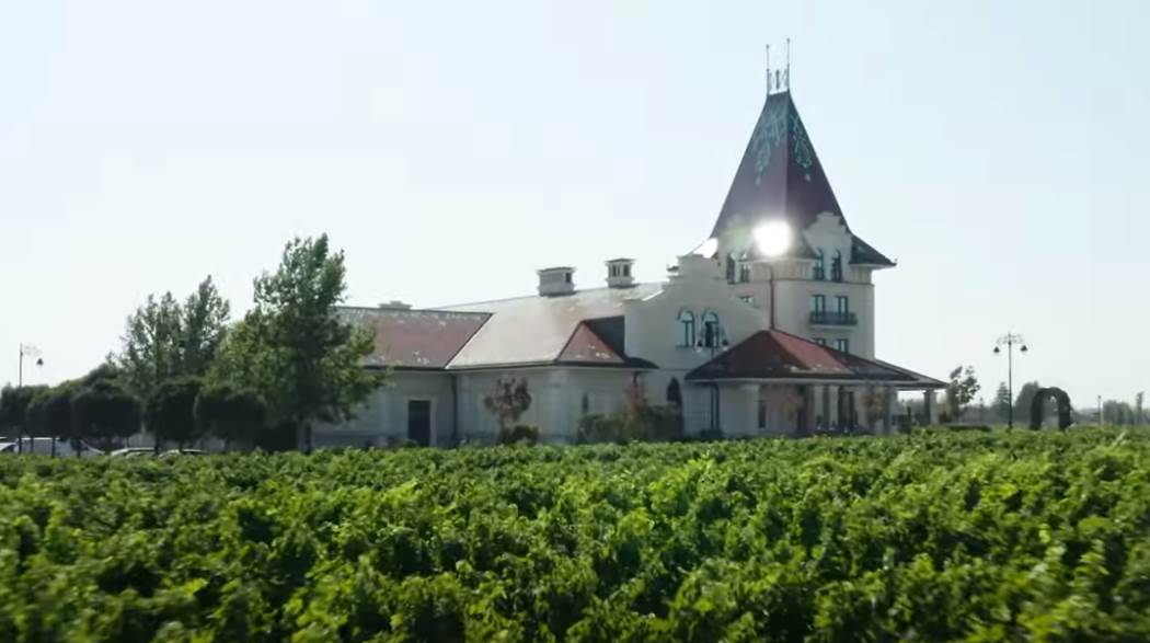 zvonko bogdan imanje (5).png