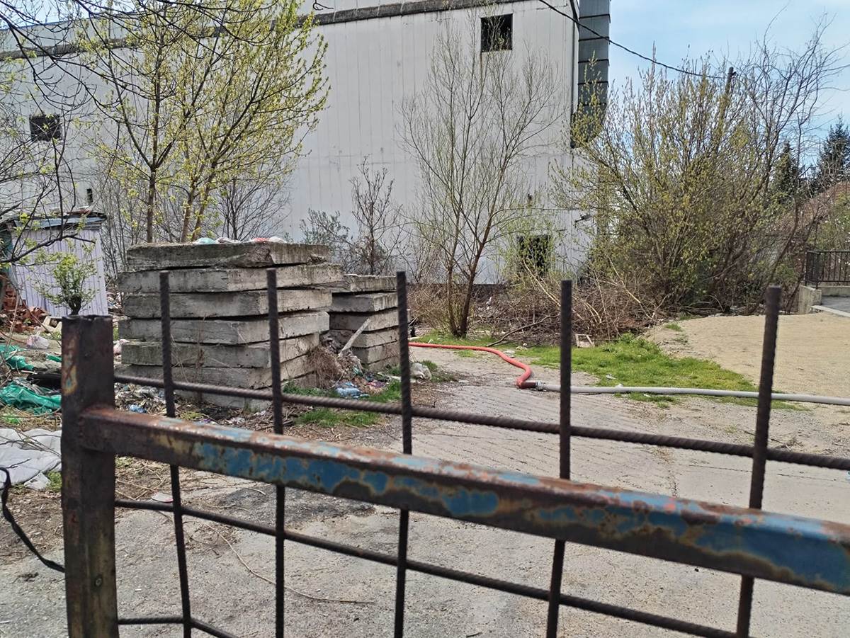 Mis Irbijeva, ugašen požar (2) copy.jpg