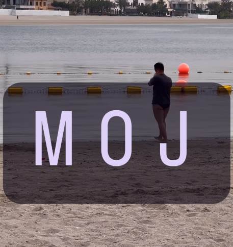 marija šerifović (3).png