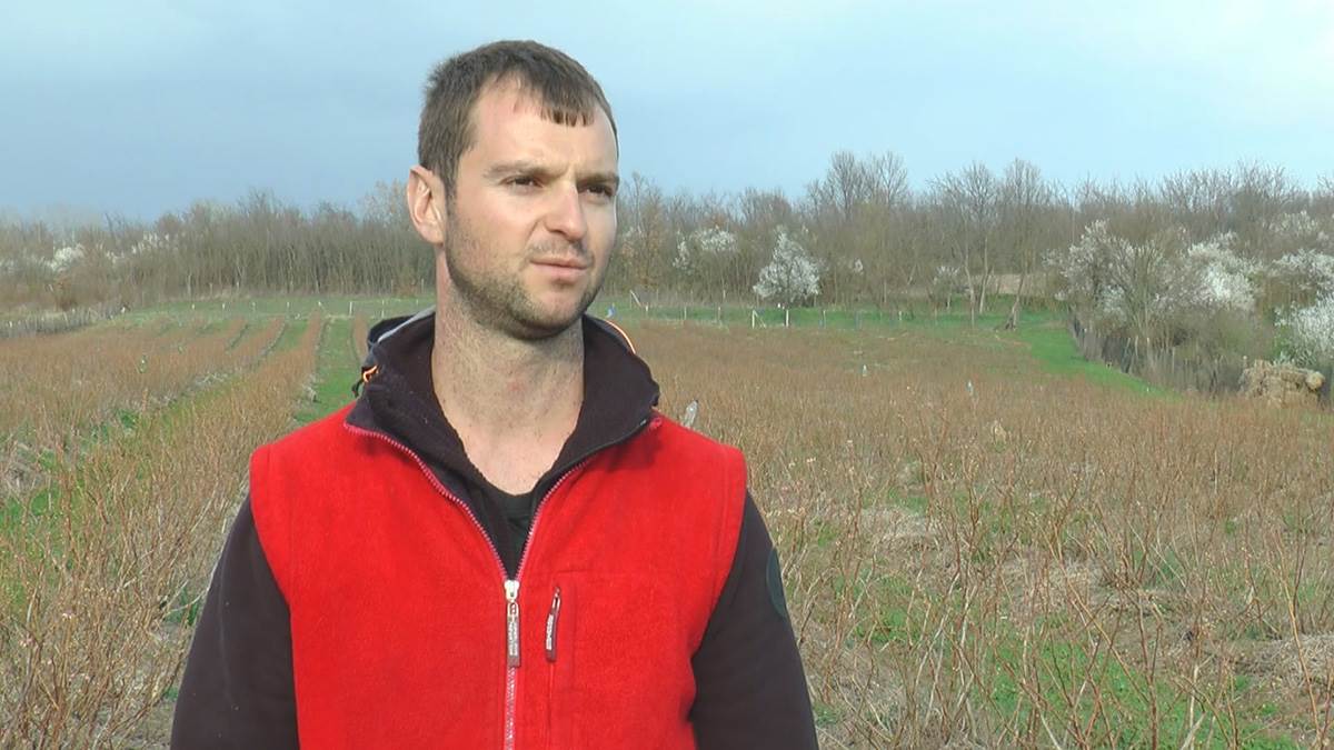 David iz Svilajnca (1).jpg