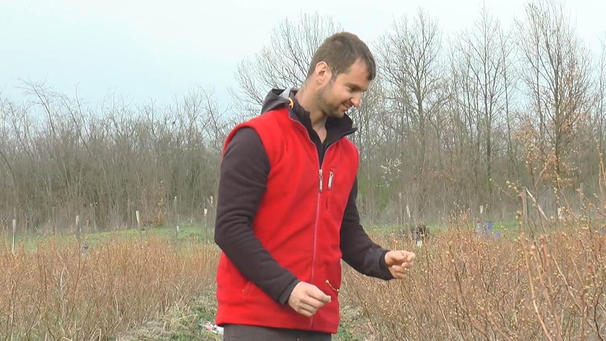 David iz Svilajnca (3).jpg