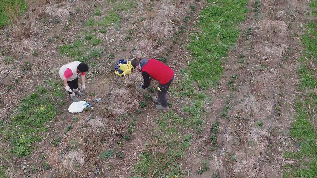 David iz Svilajnca (9).jpg