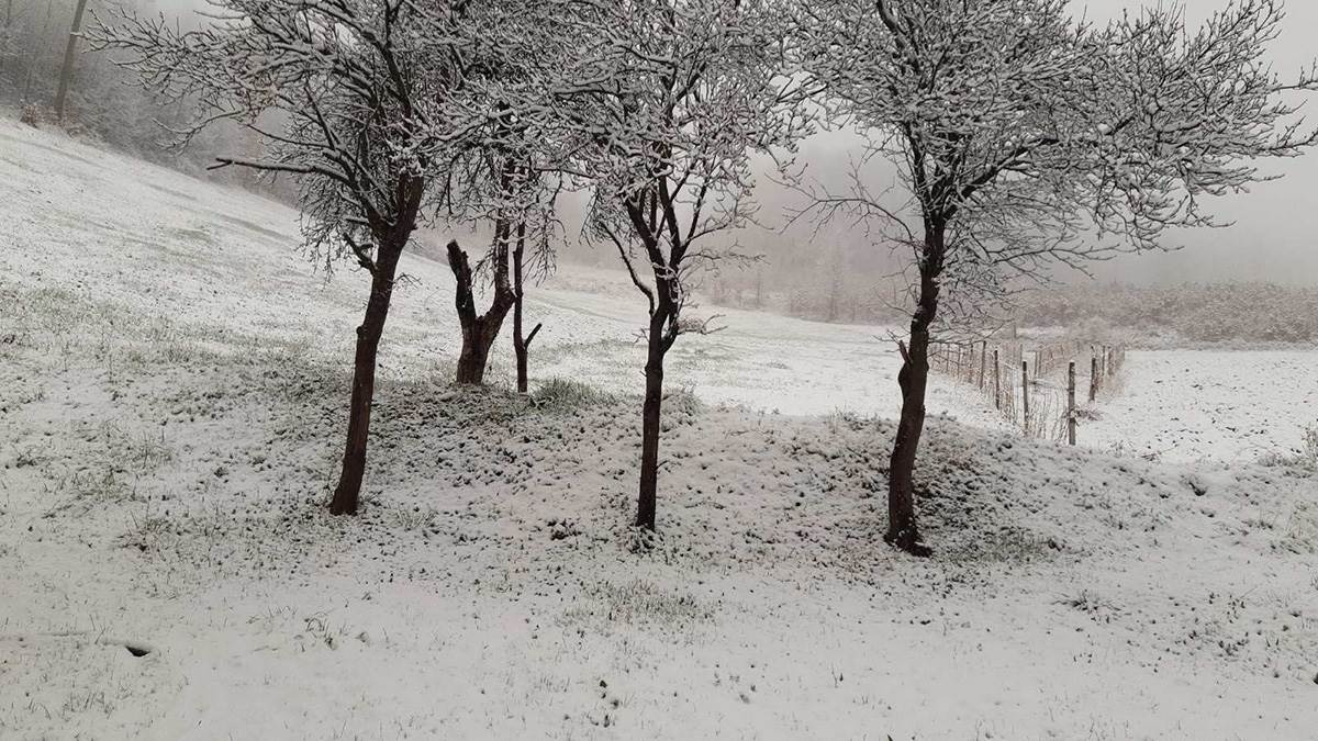 Mećava preko Zlatibora (5).jpg