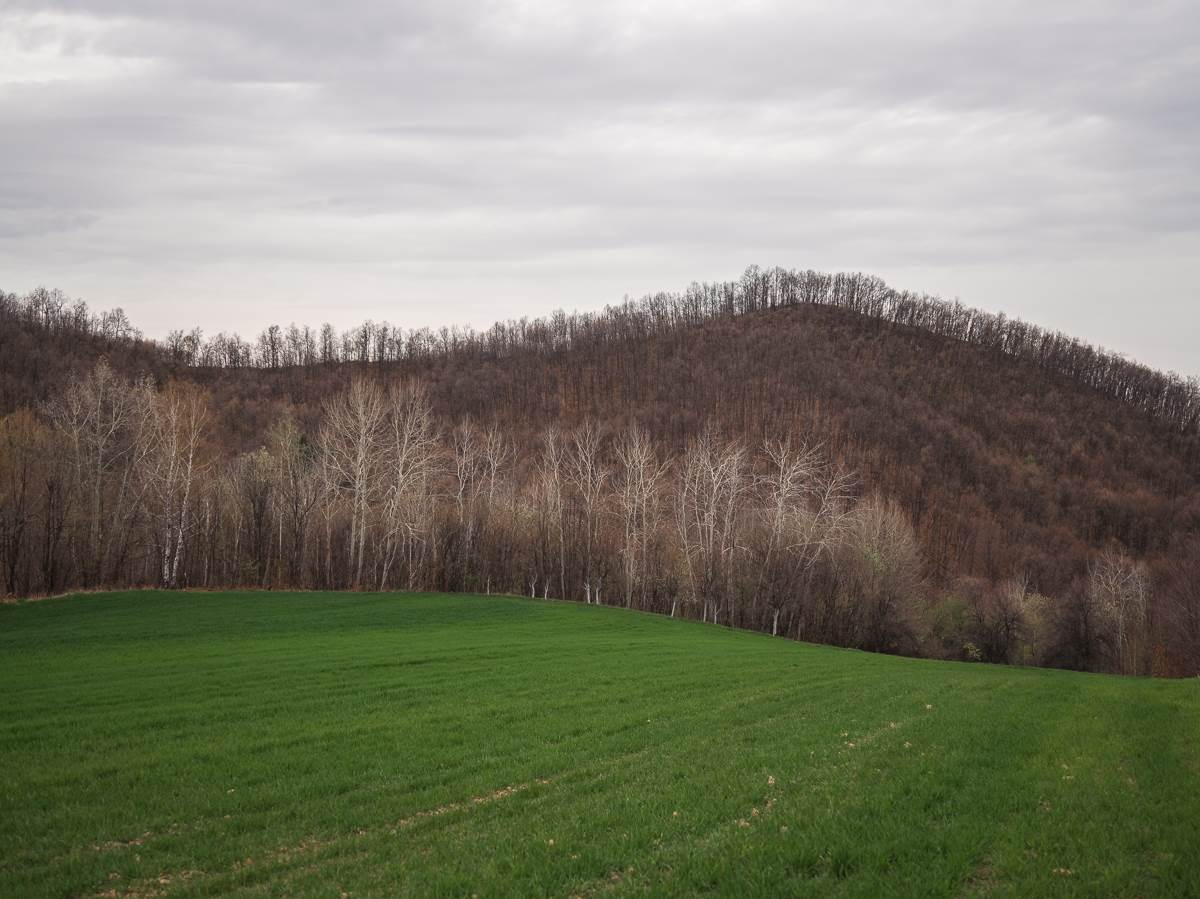 Zoran Radosavljevic spomenik (3).jpg