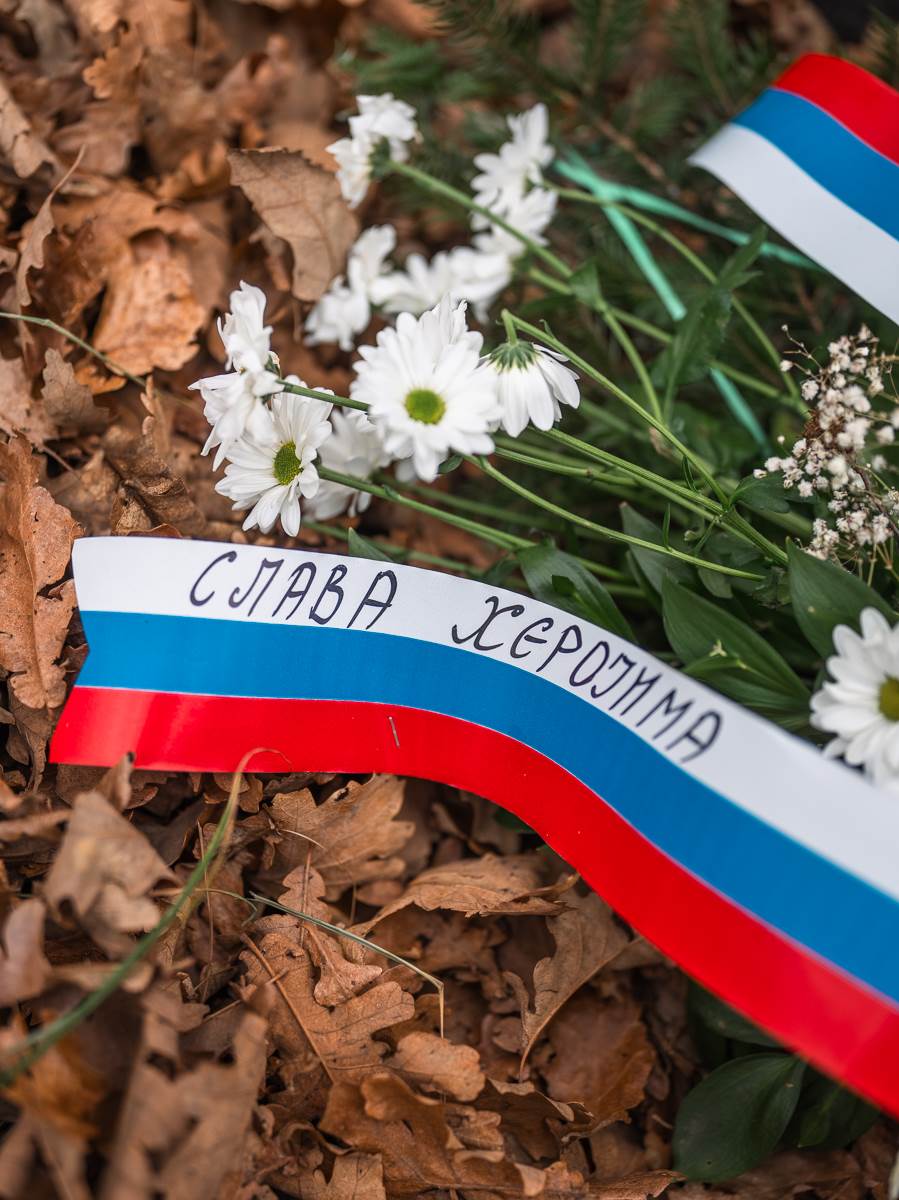 Zoran Radosavljevic spomenik (4).jpg