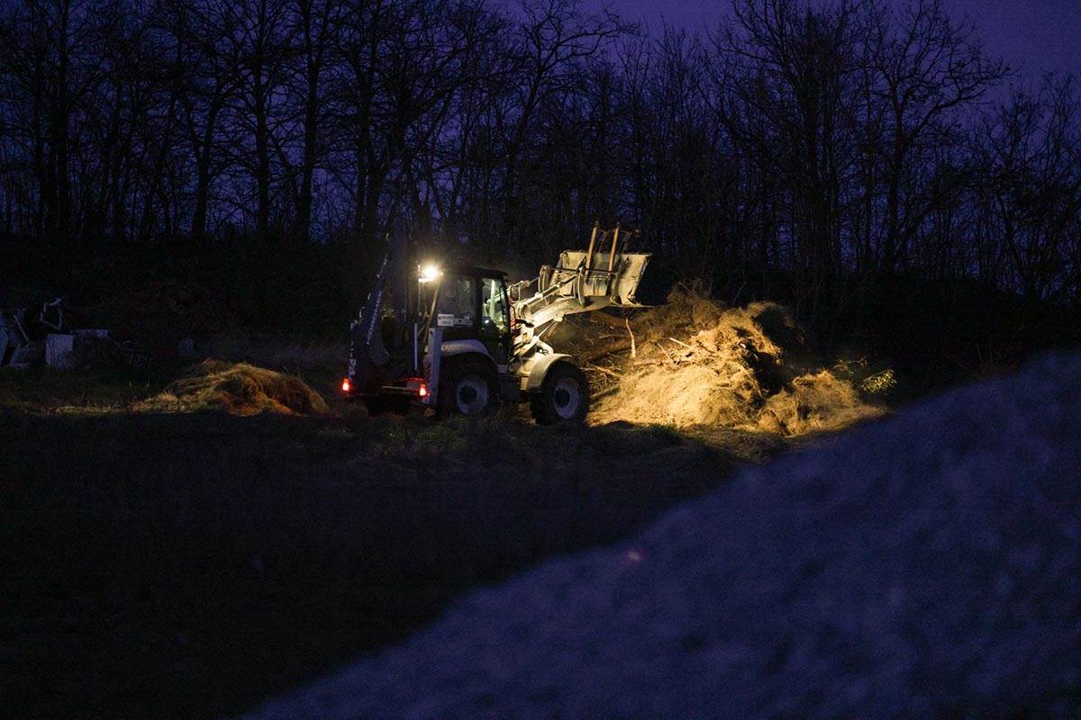 Danka Ilić (1) copy.jpg