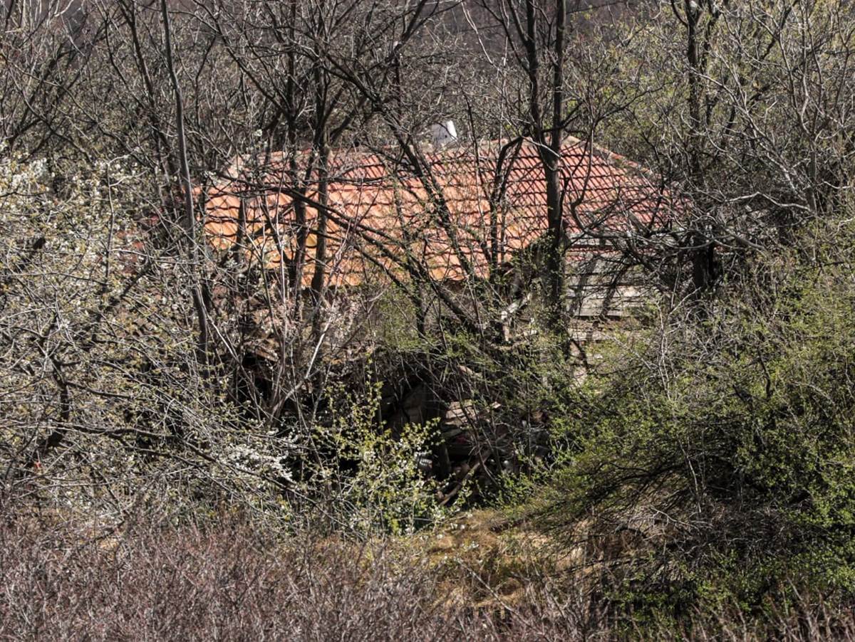 stala koju sad ciste (4) copy.jpg