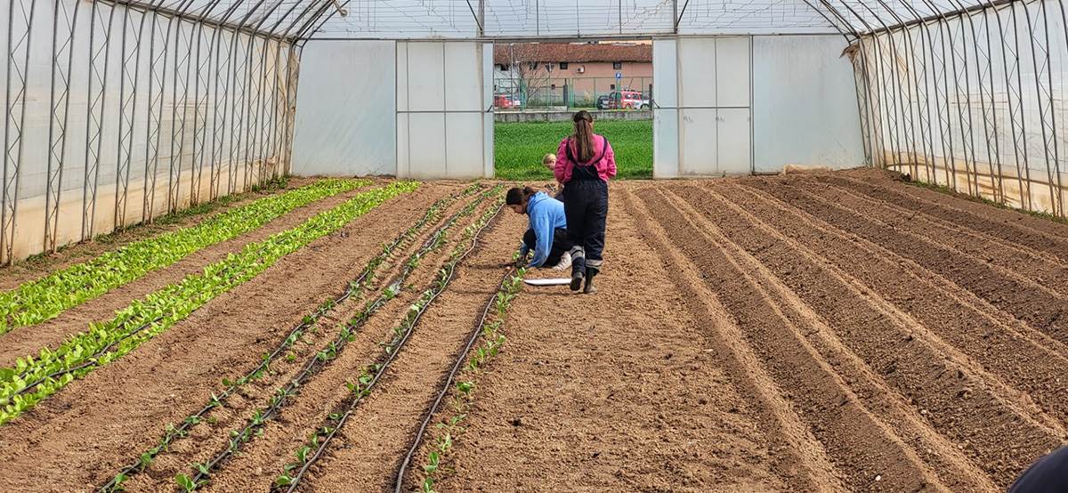 Srednja škola u Svilajncu (2).jpg