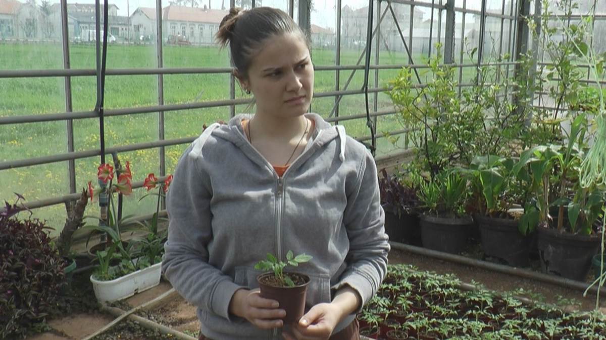 Srednja škola u Svilajncu (6).jpg