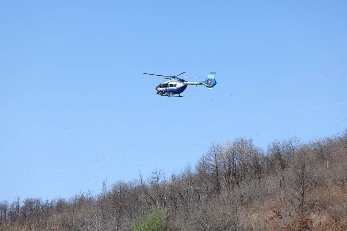 Potraga za Dankom Ilić (2) copy.jpg