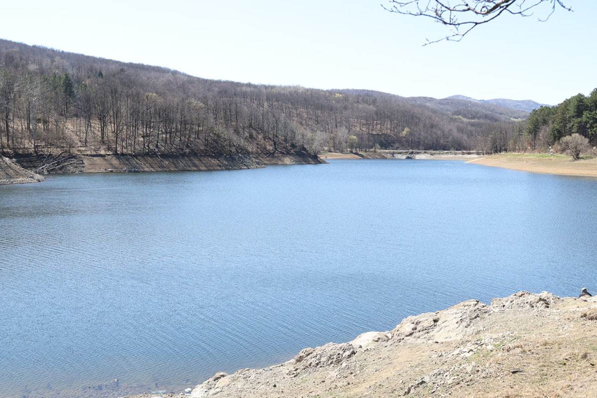 Igor Jurić o nestanku devojčice Danke Ilić