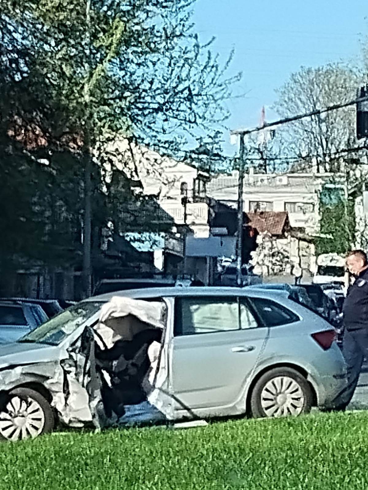 Udes u Višnjičkoj (5).jpg