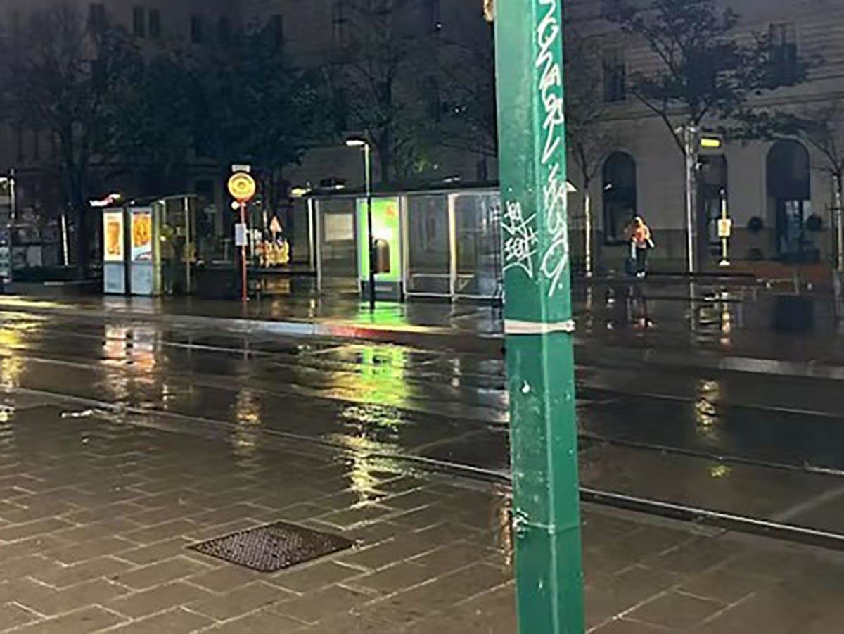 Screenshot_3 copy.jpg