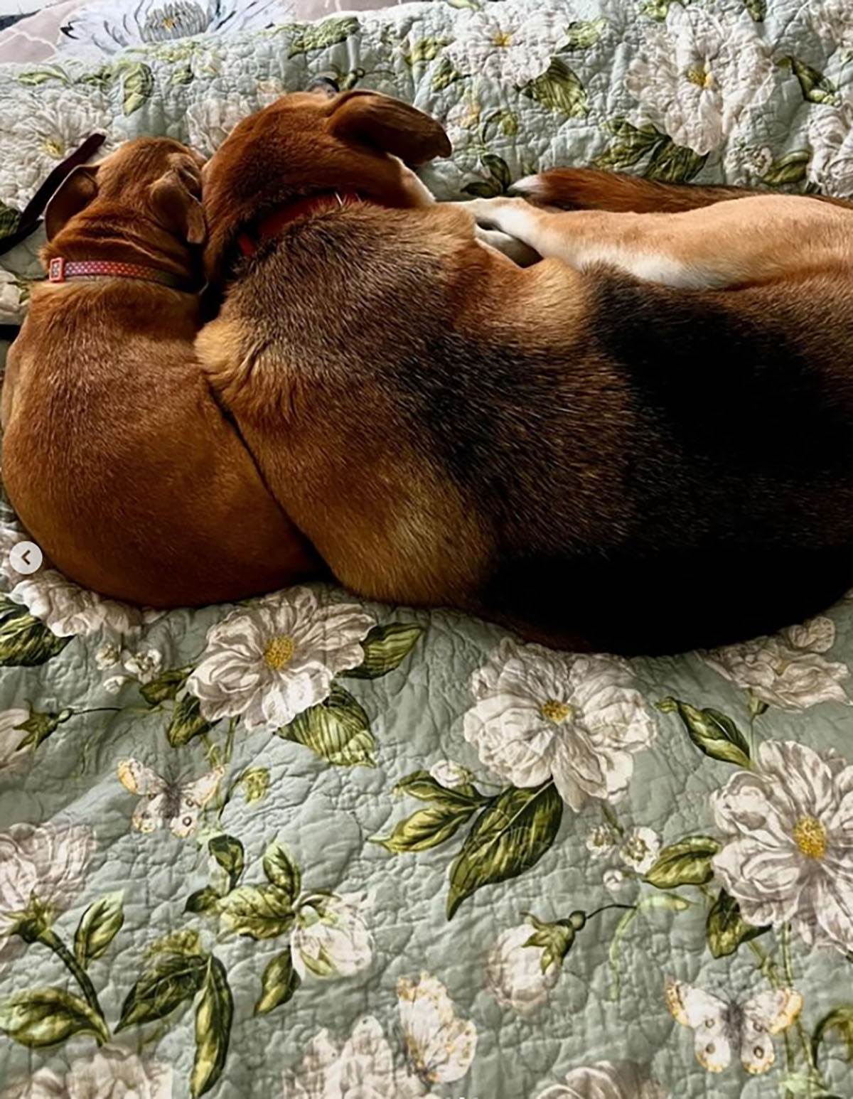 Endži Harmon (6).jpg