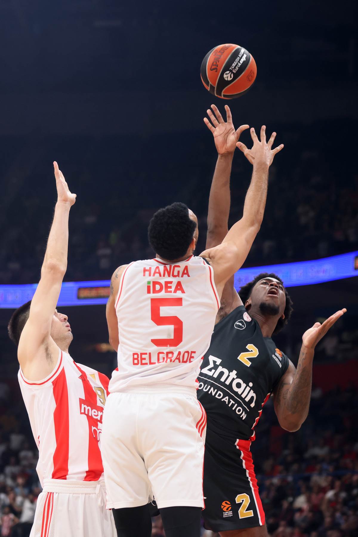 Crvena Zvezda Olimpijakos (10).JPG