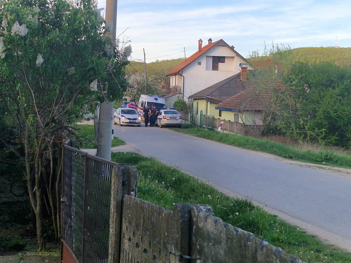 WhatsApp Image 2024-04-08 at 18.13.26_554265e1.jpg