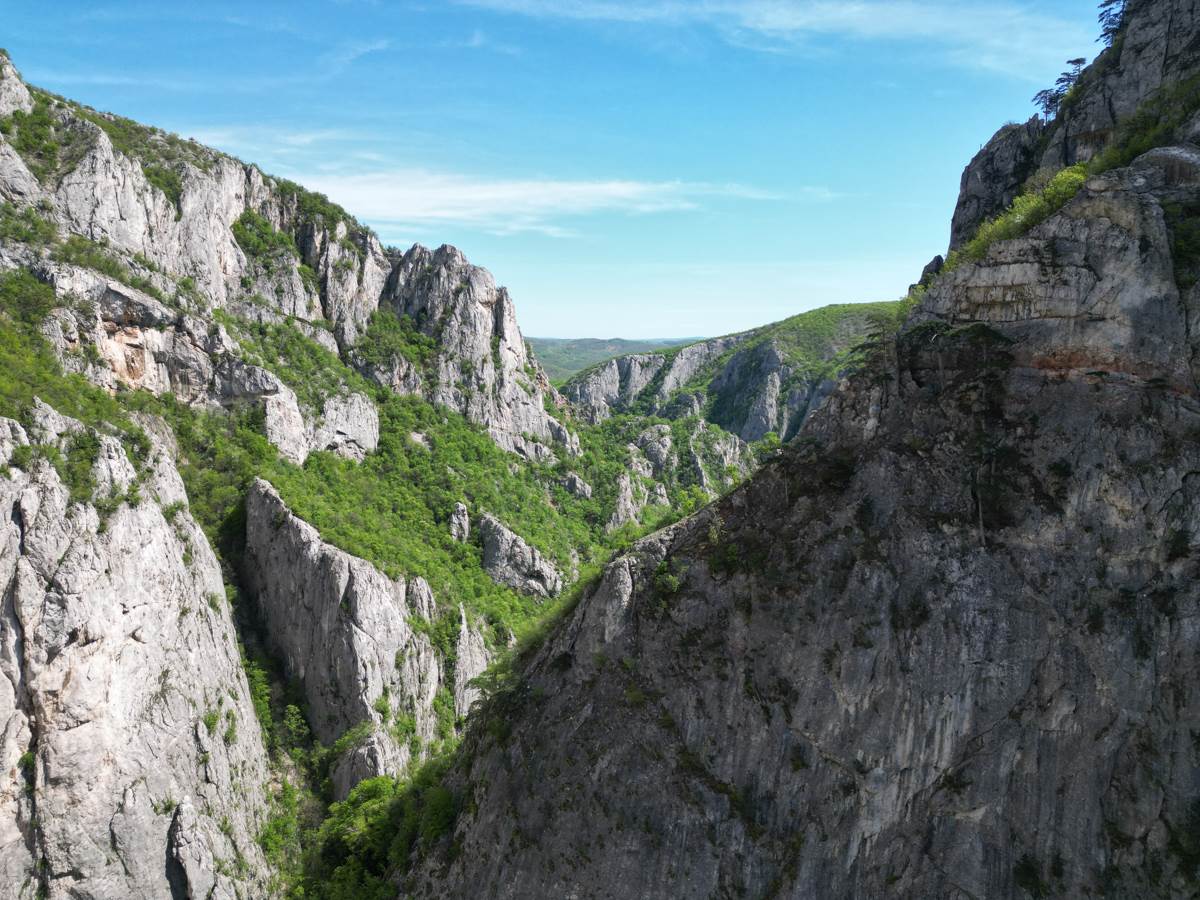 Državni sekretar MUP o ubistvu devojčice Danke