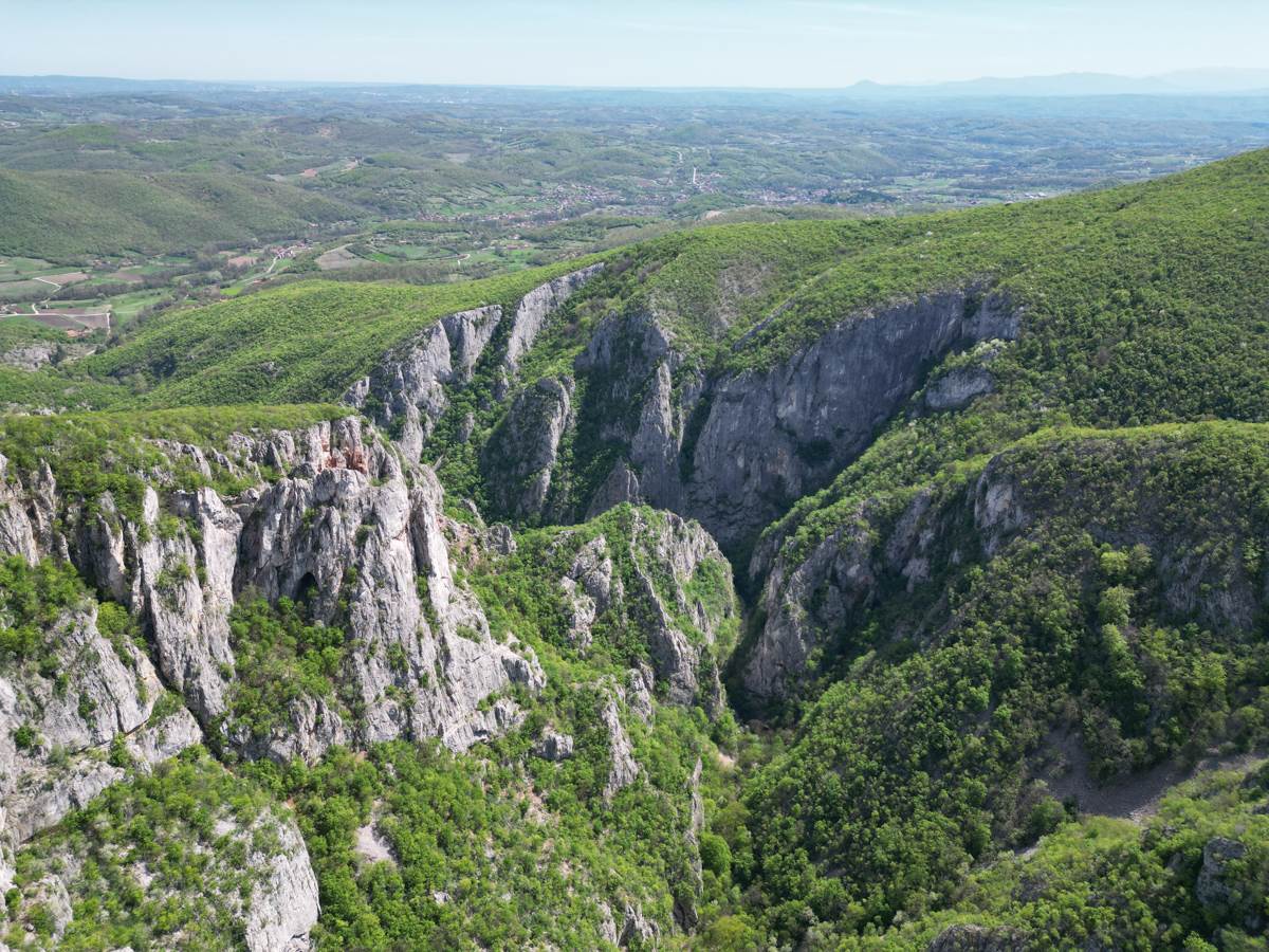 Državni sekretar MUP o ubistvu devojčice Danke