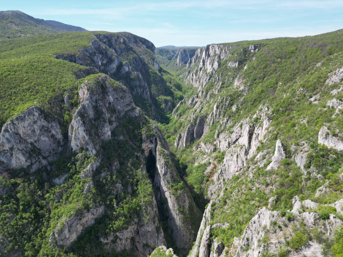 Državni sekretar MUP o ubistvu devojčice Danke