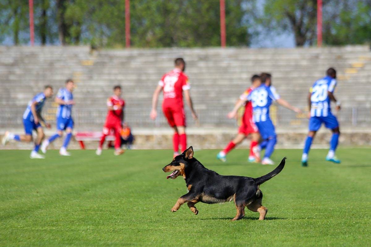 FK Radnički vs FK Novi Pazar (35).jpg