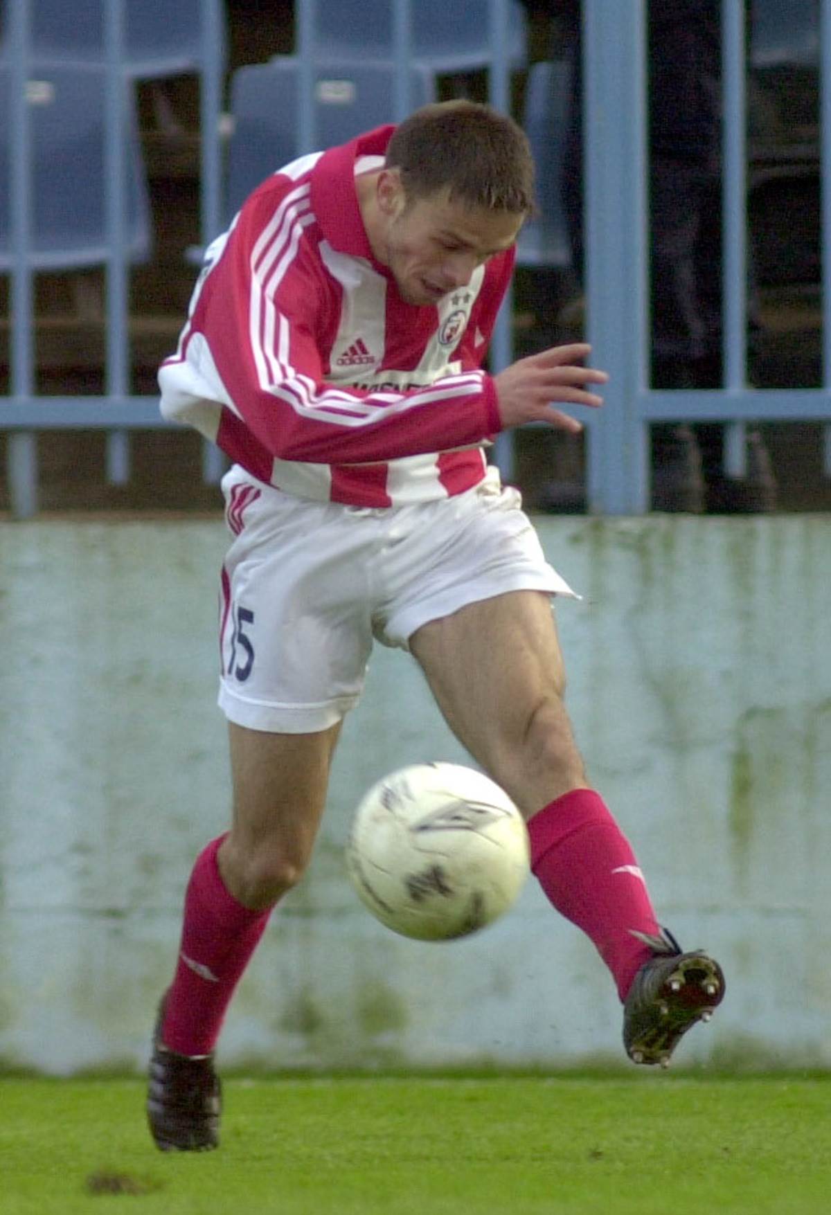 Dragan Bogavac (2).jpg