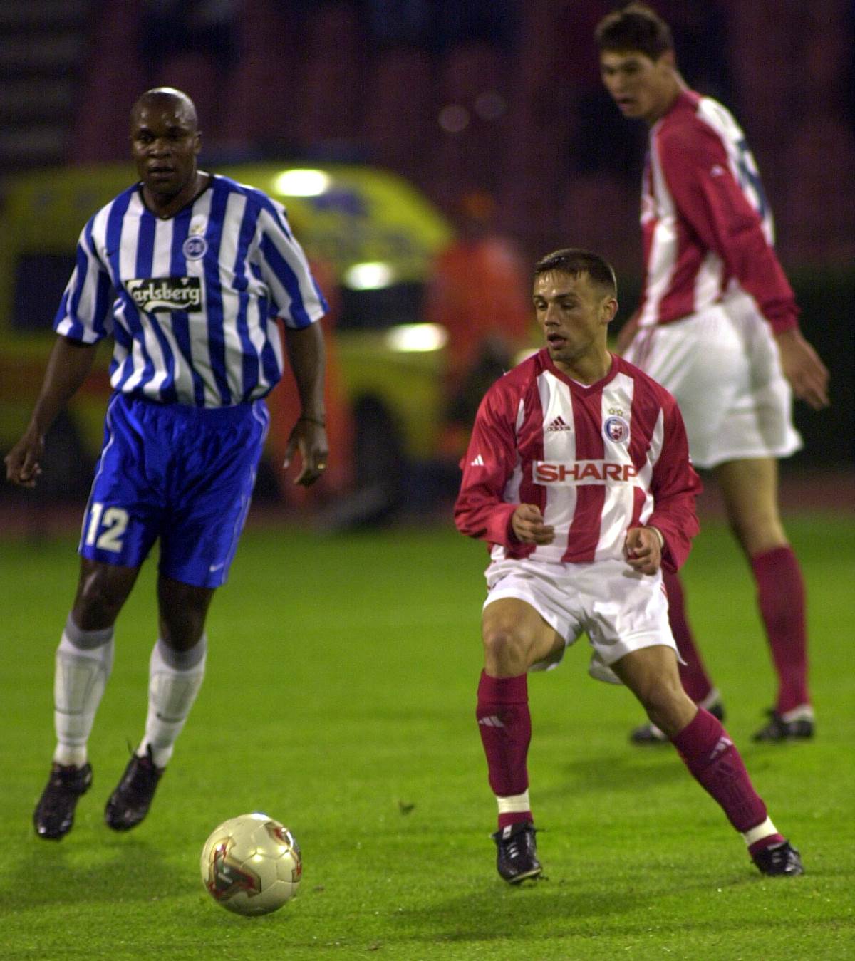 Dragan Bogavac (8).jpg