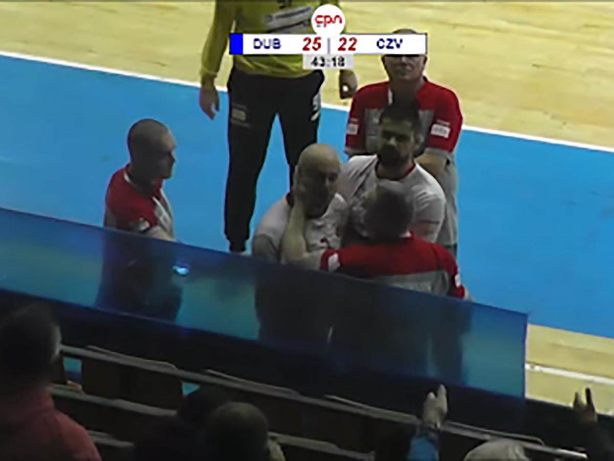 Crvena zvezda rukomet  (1).jpg