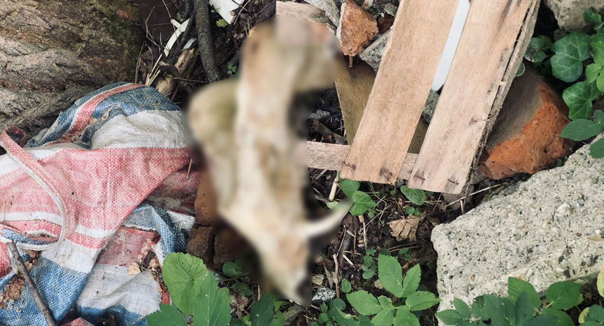 divlje deponije u čačankskom naselju Ljubić (6) copy.jpg