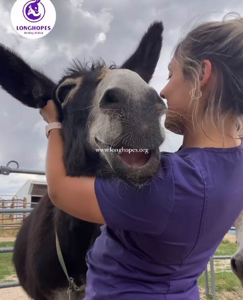 Snimak ekrana 2024-04-22 201510.png