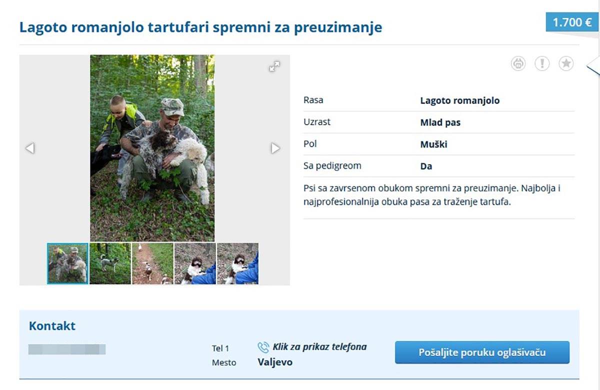 prodaja pasa (5).jpg