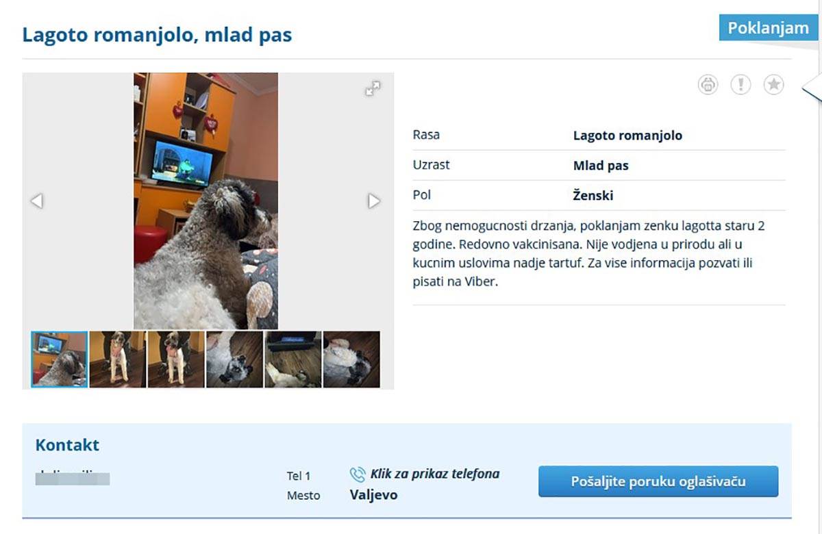 prodaja pasa (1).jpg