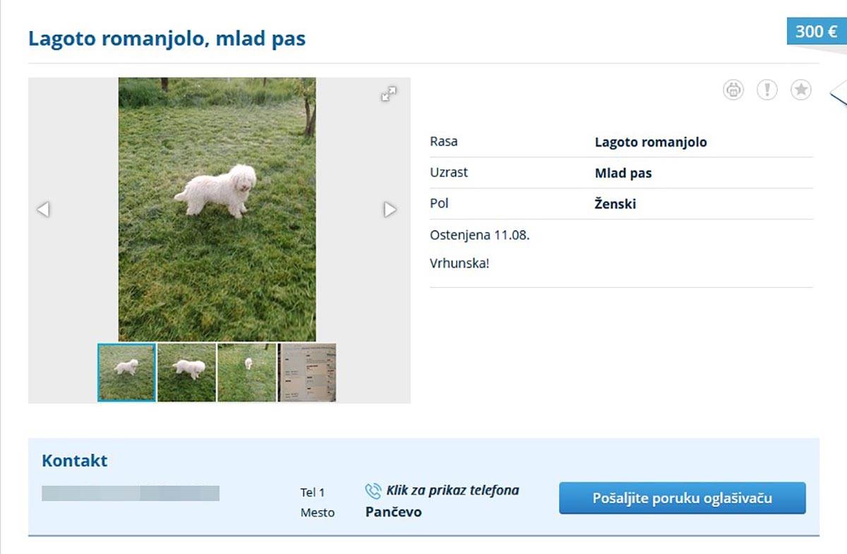 prodaja pasa (2).jpg