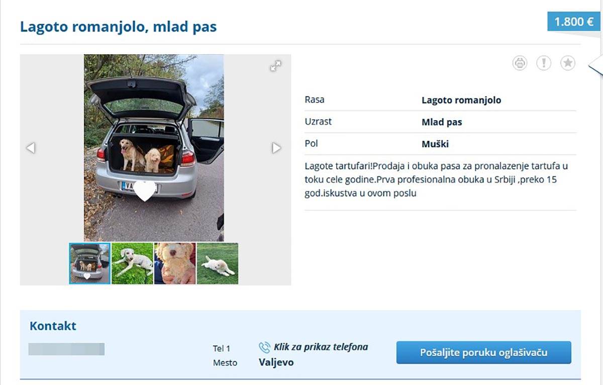 prodaja pasa (4).jpg