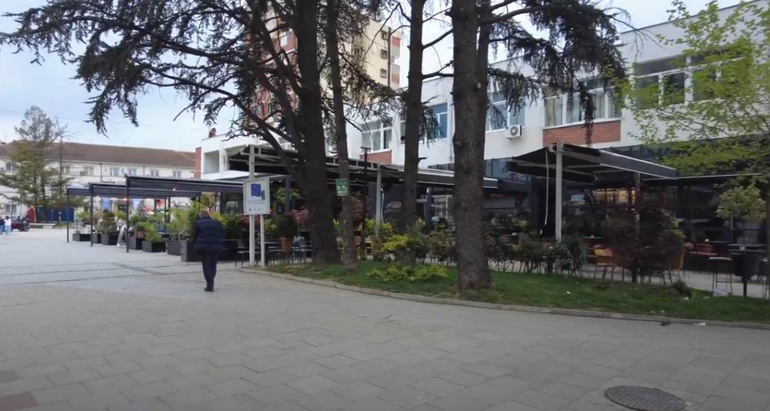 milica kemez (4).png