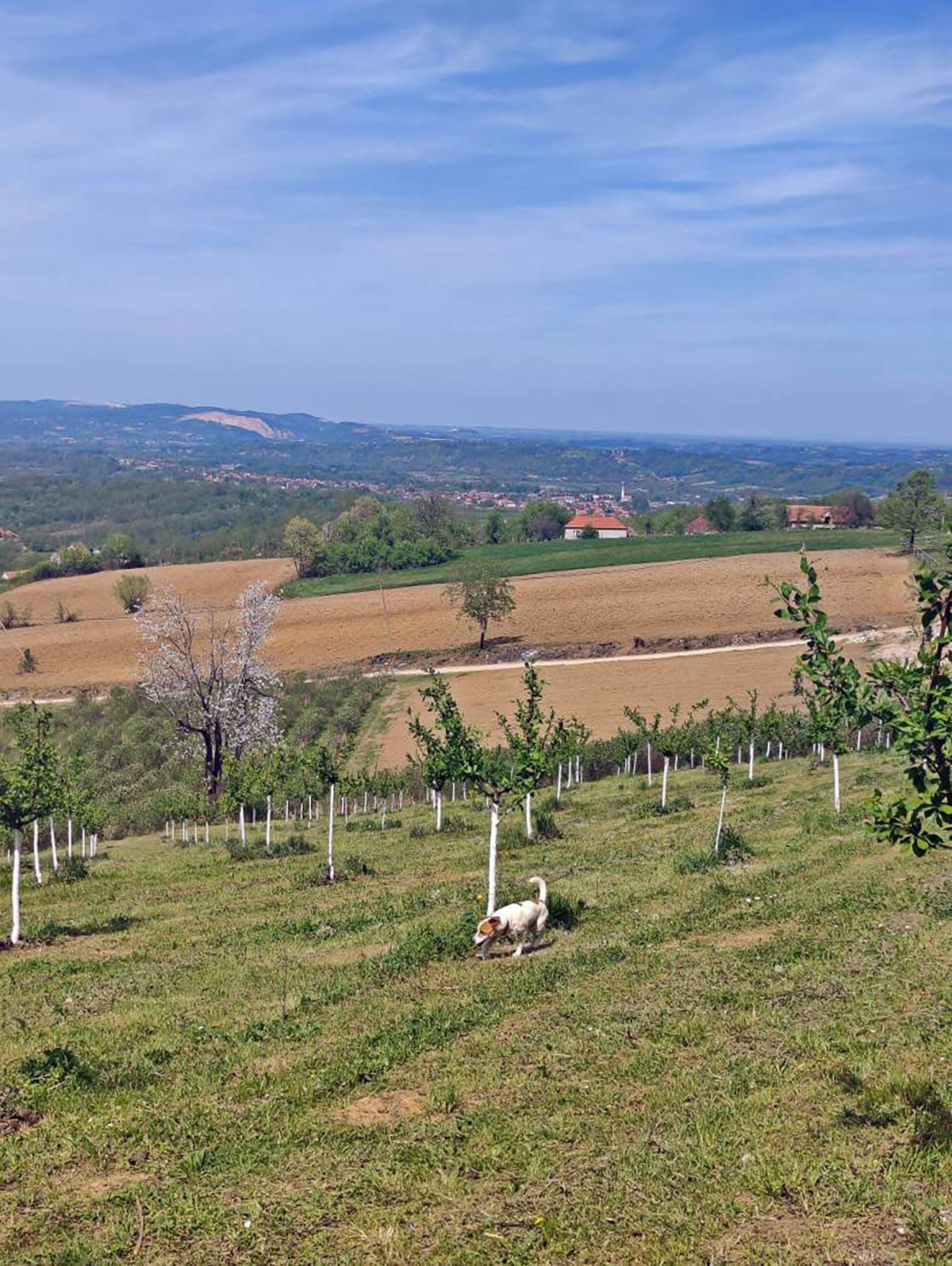 Ivana i Dragan  (2).jpg