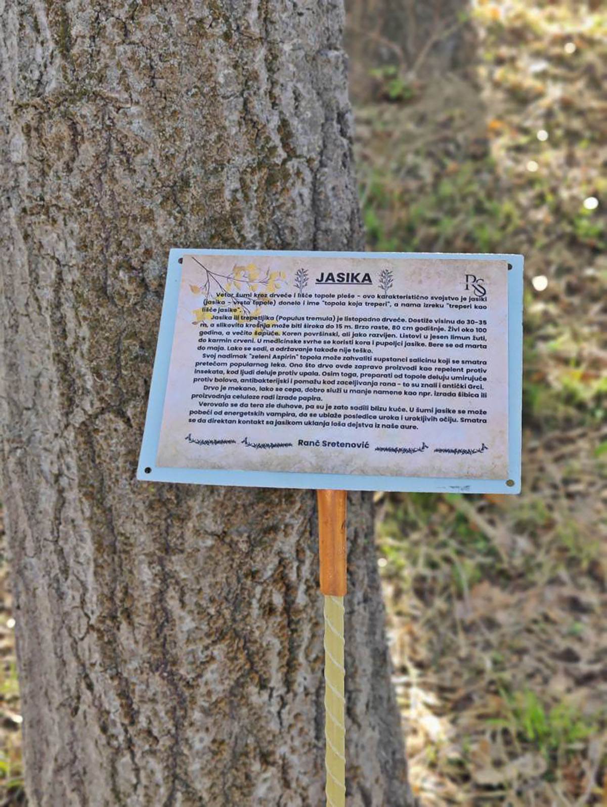 Ivana i Dragan  (8).jpg