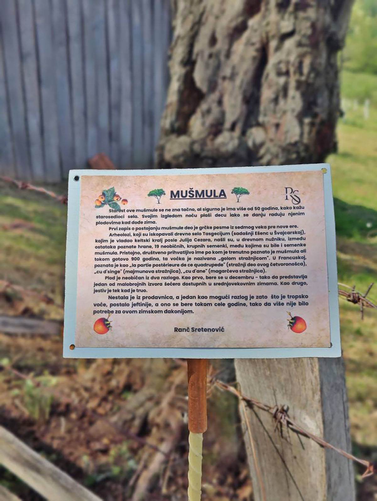 Ivana i Dragan  (9).jpg