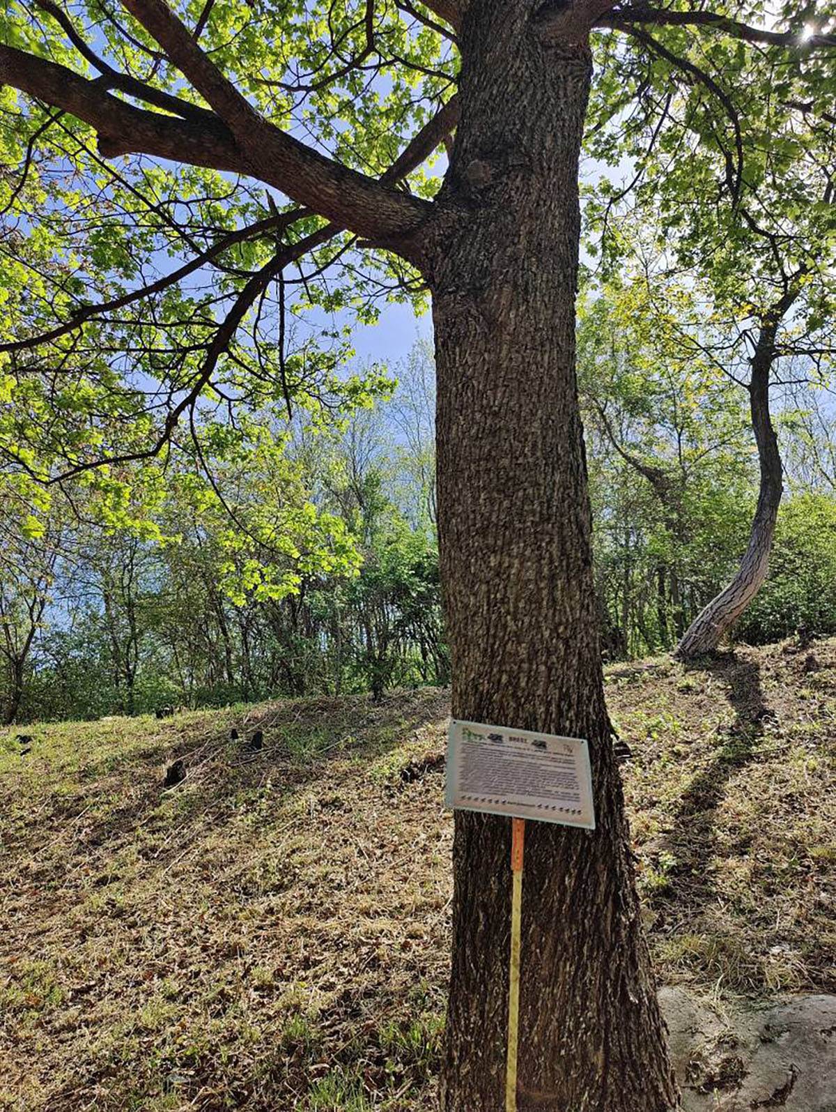 Ivana i Dragan  (13).jpg