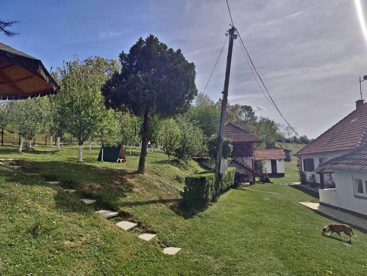 Ivana i Dragan  (15).jpg