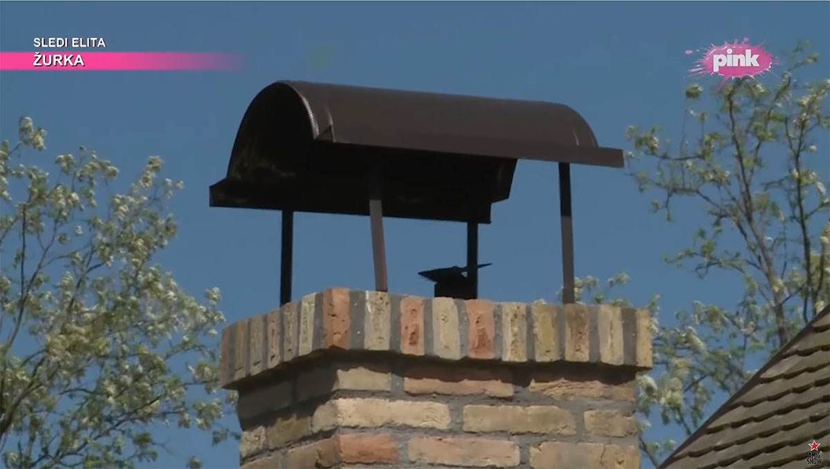 Salaš Nenada Čanka (12).jpg