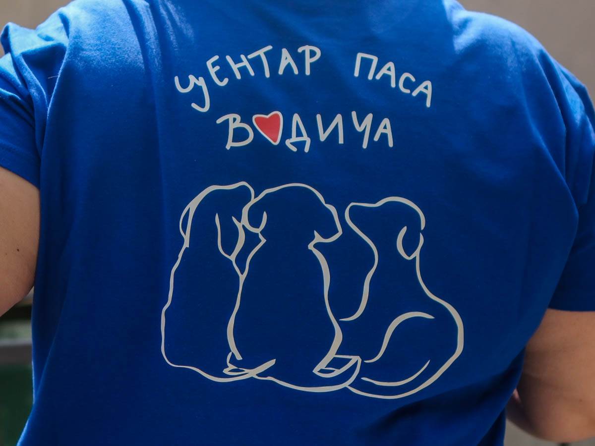 vesna_nestorović_psi_vodiči_za_slepe_stefan_stojanović_1 (30).jpg