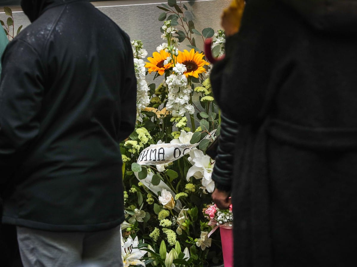 Detalji ispred skole ribnikar (5).jpg