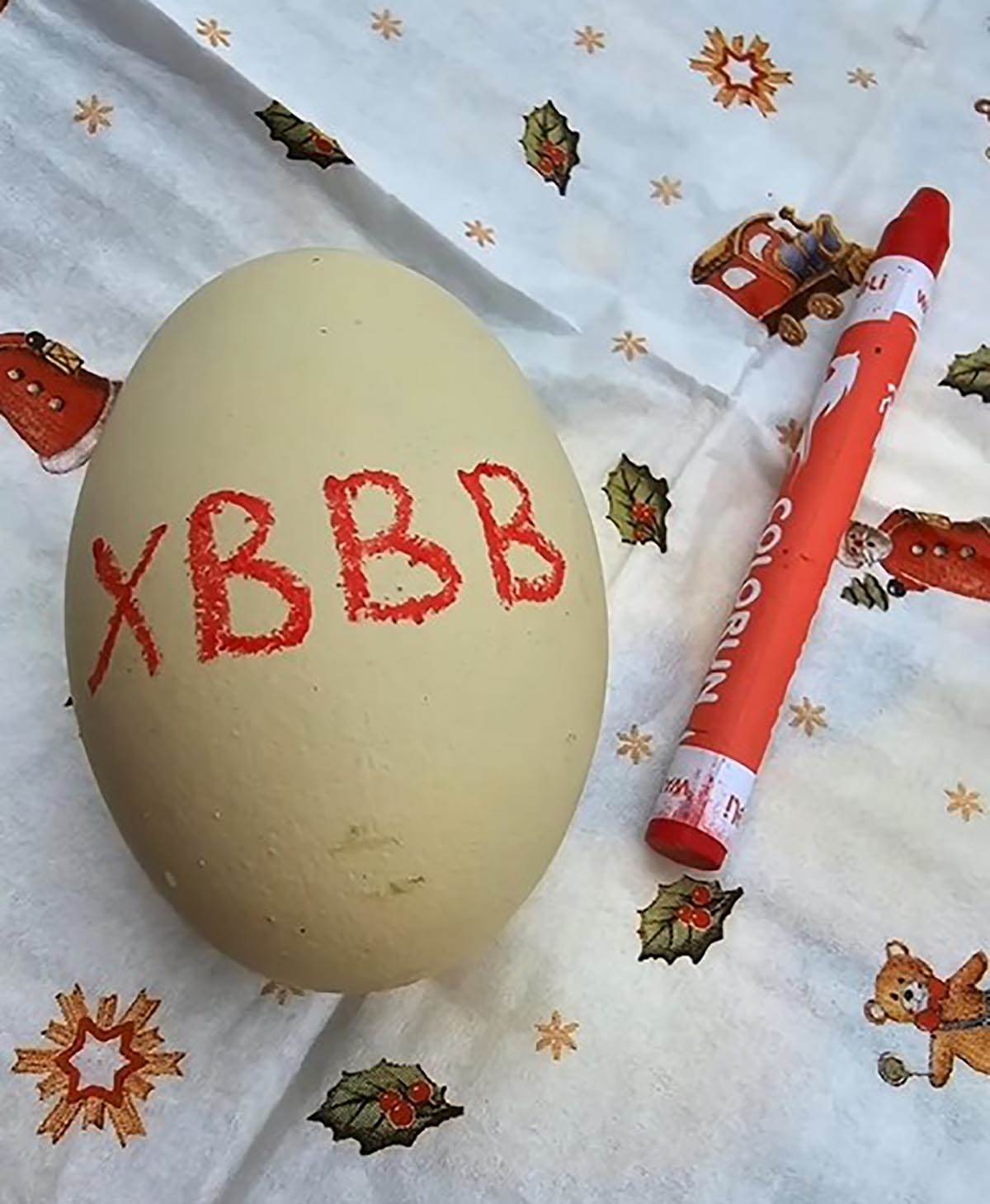 tamara vucic (9).jpg