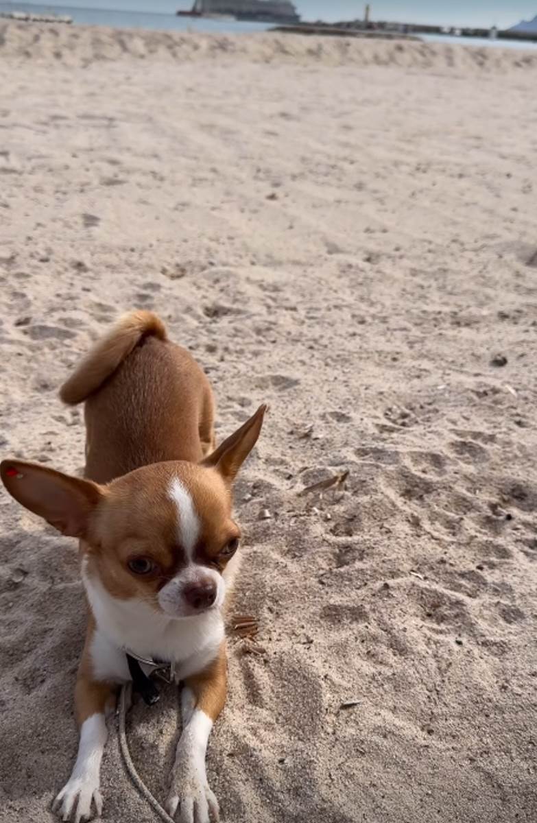 milica mitrovic pink-6.jpg