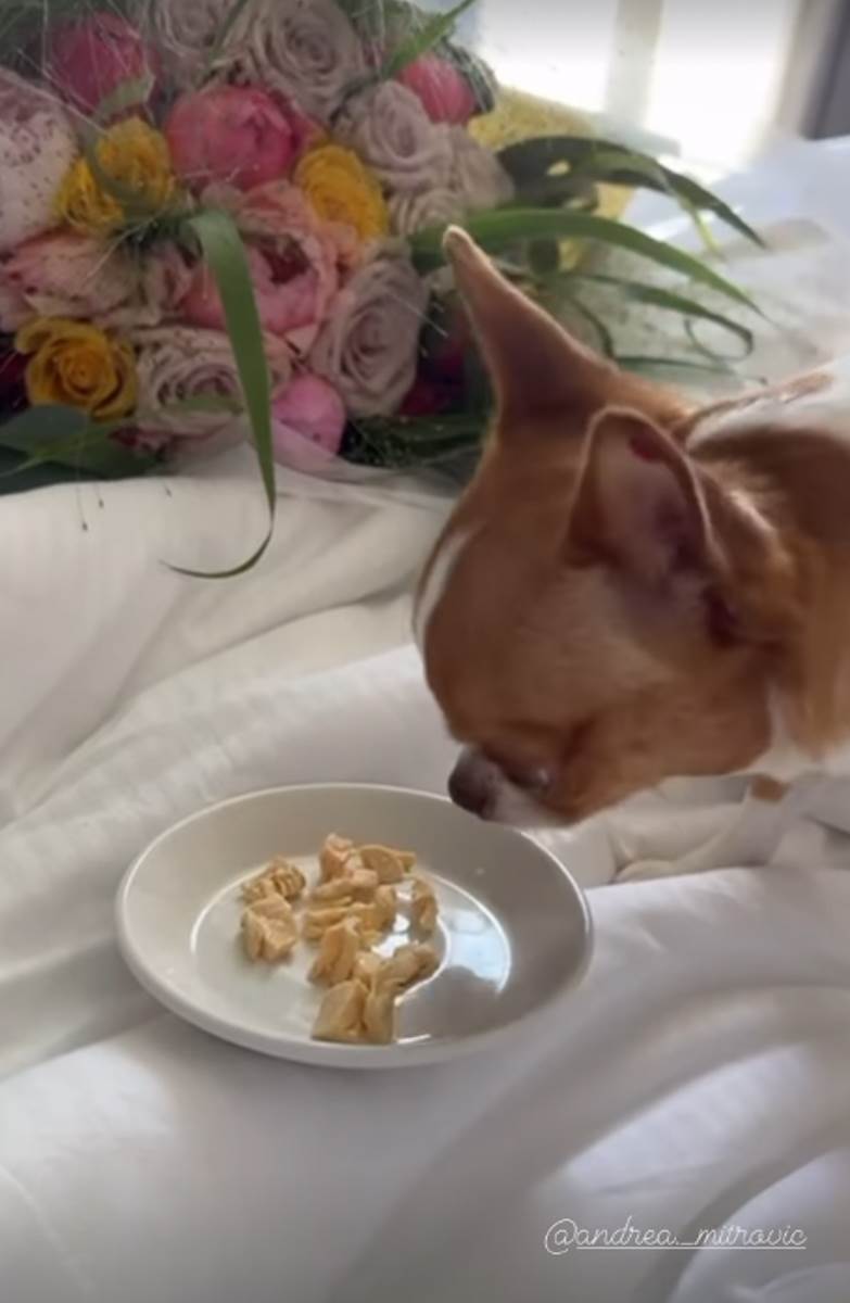 milica mitrovic pink-4.jpg