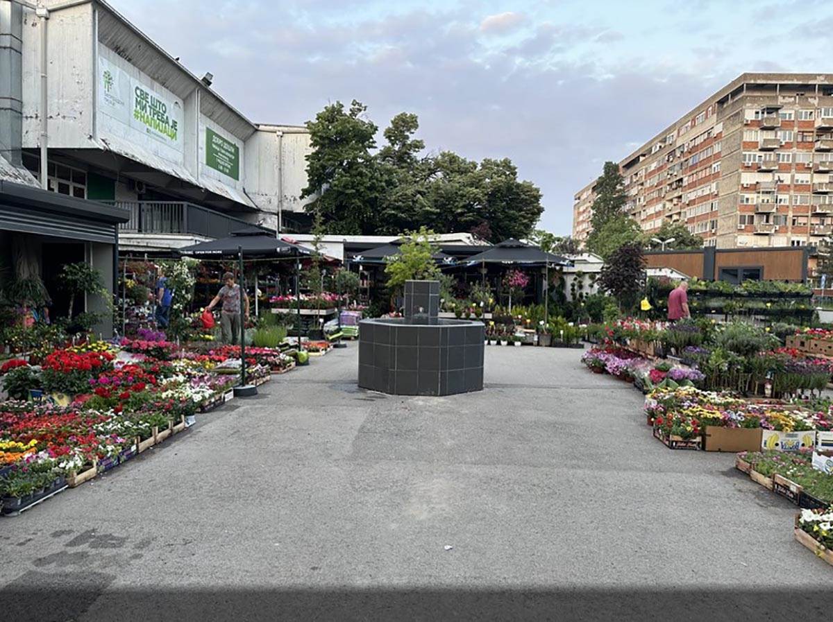 Screenshot_4 copy.jpg